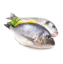 Deep Sea Fish