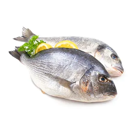 Picture for category Deep Sea Fish