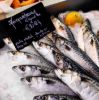 Picture of Mackerel Bangda Fish
