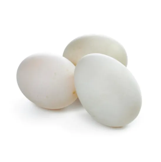 Picture of Duck Eggs